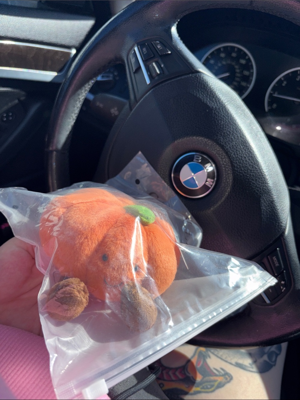 Plush Orange Pumpkin